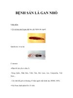 BỆNH SÁN LÁ GAN NHỎ pdf