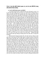 Đề cương môn: Bảo hiểm xã hội pdf