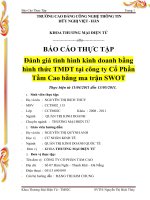 Báo cáo thực tập: Đánh giá tình hình kinh doanh bằng hình thức TMDT tại công ty Cổ Phần Tầm Cao bằng ma trận SWOT pps