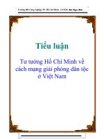 Tiểu luận: Tư tưởng Hồ Chí Minh về cách mạng giải phóng dân tộc ở Việt Nam doc