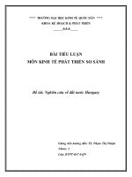 tiểu luận kinh tế phát triển so sánh nghiên cứu về đất nước hungary