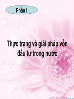 Thực trạng và giải pháp vốn đầu tư trong nước docx