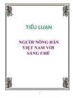 TIỂU LUẬN: NGƯỜI NÔNG DÂN VIỆT NAM VỚI SÁNG CHẾ pptx
