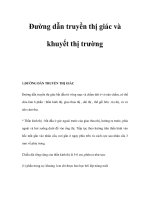 Đường dẫn truyền thị giác và khuyết thị trường pps