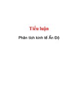 tiểu luận phân tích kinh tế ấn độ