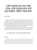 bài thuyết trình về ozon