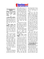 câu hỏi ôn tập và hướng dẫn môn quản trị nhân sự