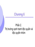C62_Thi-truong-canh-tranh-dq-va-dq-nhom potx