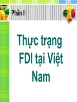 Thực trạng FDI tại Việt Nam pdf