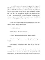 Luận văn tốt nghiệp : Bảo hiểm đãm bảo cho các tổ chức và doanh nghiệp phát triển vững mạnh phần 3 ppt