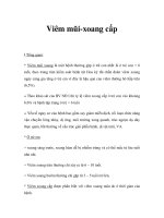Viêm mũi-xoang cấp pdf