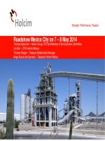 roadshow mexico city on 7 8 may 2014 thomas aebischer holcim group cfo and member of the executive committee urs birri cfo holcim mexico thomas rueger treasury relationship manager angel garcía de quevedo treasure