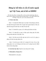 Đăng ký kết hôn có yếu tố nước ngoài tại Việt Nam, mã số hồ sơ 028583 pptx