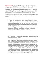 Thảo luận về cổ phiếu quỹ pps