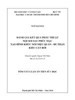 Đánh giá kết quả phẫu thuật nội soi sau phúc mạc tạo hình khúc nối niệu quản bể thận kiểu cắt rời (tóm tắt)