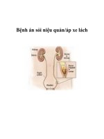 Bệnh án sỏi niệu quản/áp xe lách ppsx