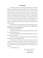 Nghiên cứu xây dựng quy trình sản xuất mứt nha đam đông