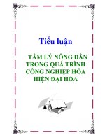 TIỂU LUẬN: TÂM LÝ NÔNG DÂN TRONG QUÁ TRÌNH CÔNG NGHIỆP HÓA HIỆN ĐẠI HÓA docx
