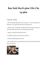 Ban Xuất Huyết giảm Tiểu Cầu tự phát pdf