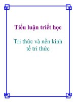 Tiểu luận triết học: Tri thức và nền kinh tế tri thức doc