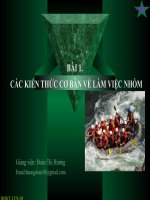 Bai 1. Gioi thieu chung ve nhom(TLOI)1 pdf