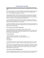 Cách tạo Autorun cho đĩa CD pdf