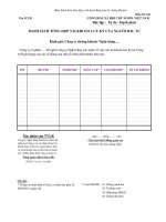 MẪU DANH SÁCH TỔNG HỢP TÀI KHOẢN LƯU KÝ CỦA NGƯỜI ĐẦU TƯ pdf