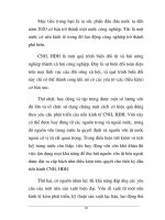 Quá trình thi hành một số vần đề lý luận về trực tiếp đâu tư tiền tệ trong và ngoài quốc doanh p3 ppsx