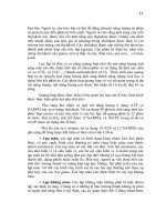 Giáo trình Hình thái giải phẩu học thực vật part 3 pps