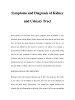 Symptoms and Diagnosis of Kidney and Urinary Tract potx