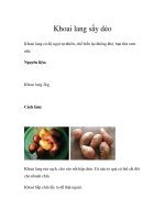 Khoai lang sấy dẻo docx
