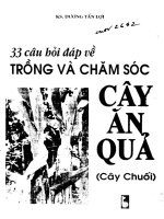 33 Câu hỏi đáp về trồng và chăm sóc cây ăn quả (cây chuối) part 1b pps