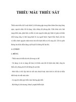 THIẾU MÁU THIẾU SẮT pot