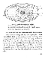 Ấp trứng gia cầm bằng phương pháp thủ công cổ truyền có cải tiến part 2 ppsx