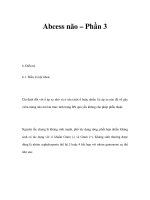 Abcess não – Phần 3 ppt