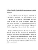 Quá trình hình thành tư liệu nghiên cứu quan hệ biện chứng giữa các lực lượng sản xuất và sự đa dạng hóa p6 doc