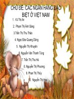 CHỦ ĐỀ: CÁC NGÂN HÀNG ĐẶC BIỆT Ở VIỆT NAM pps