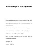 Chẩn đoán nguyên nhân gây khó thở docx