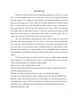 PHÂN TÍCH TÌNH HÌNH TÀI CHÍNH CÔNG TY TNHH VIỆT AN