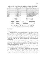 Giáo trình Vi sinh vật học part 9 docx