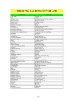 Thuật ngữ xây dựng cầu Việt Anh ppt