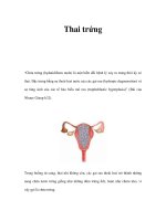 Thai trứng pptx