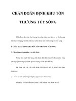 CHẨN ĐOÁN ĐỊNH KHU TỔN THƯƠNG TỦY SỐNG pot