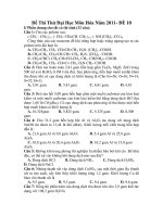 Đề Thi Thử Đại Học Môn Hóa Năm 2011- ĐỀ 10 pdf