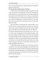 Chuyên đề tốt nghiệp: Phát triển kinh tế và những rủi ro phần 2 potx