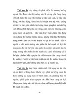 Quá trình hình thành tư liệu nghiên cứu quy trình phát sinh nền kinh tế hàng hóa đa chức năng p6 docx