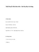 Xuất huyết tiêu hóa trên - loét dạ dày tá tràng pptx