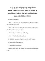 Cấp lại giấy đăng ký hoạt động cho chi nhánh, công ty luật nước ngoài do bị mất, bị rách, bị cháy hoặc bị tiêu huỷ dưới hình thực khác, mã số hồ sơ 136054 pps