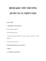 ĐỊNH KHU TỔN THƯƠNG DƯỚI VỎ VÀ THÂN NÃO pdf
