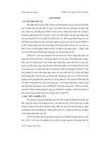 Phân tích hoạt động tín dụng tại ngân hàng thương mại cổ phần VietBank phòng giao dịch Vạn Hạnh